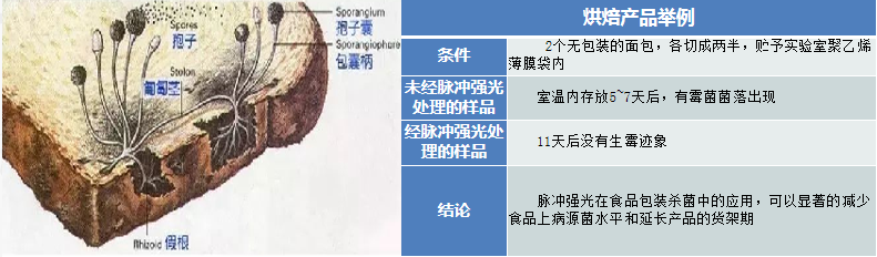 圖片10