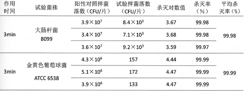 圖片 13