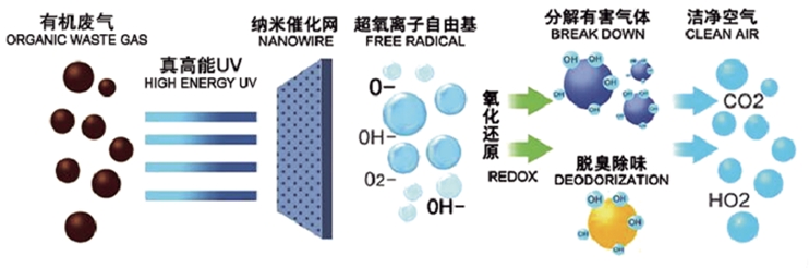 微信截圖_20241206102243